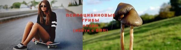 COCAINE Богородск
