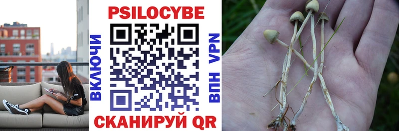МЕГА ссылка купить Певек Псилоцибиновые грибы ЛСД